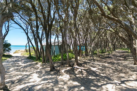 Blairgowrie Bella - Light Filled Home With Great Deck - Southport Accommodation 12