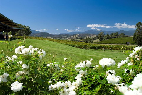 Balgownie Estate Yarra Valley - Accommodation Southport 36