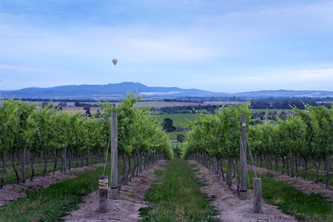 Balgownie Estate Yarra Valley - Accommodation Southport 37