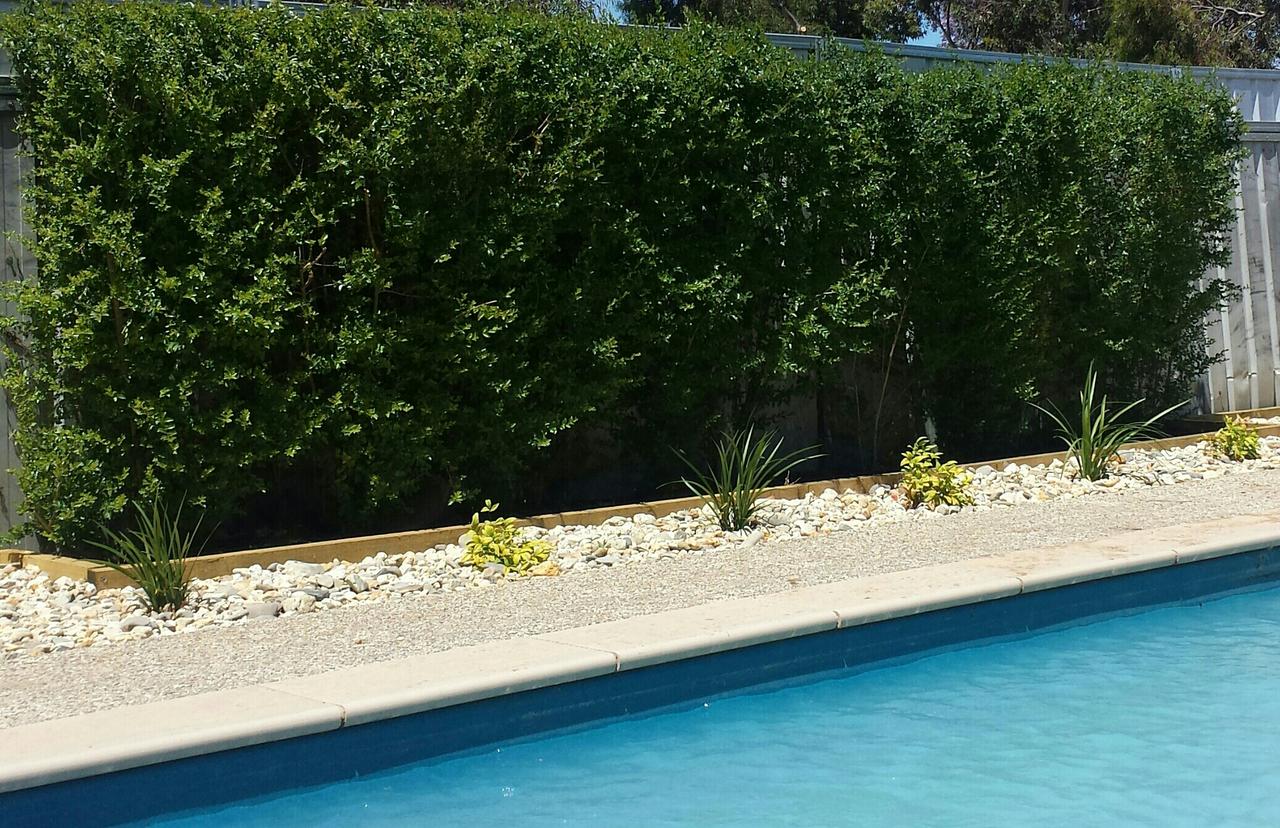 Liparoo VIC Southport Accommodation