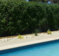 Robinvale Bridge Motel - Southport Accommodation