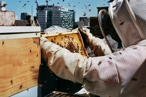 Alto Hotel On Bourke - Accommodation Southport 14