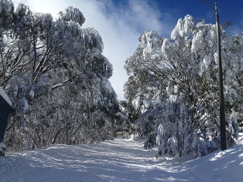 Maisonettes Falls Creek - Southport Accommodation 17