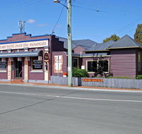 The Bears Went Over The Mountain - Southport Accommodation