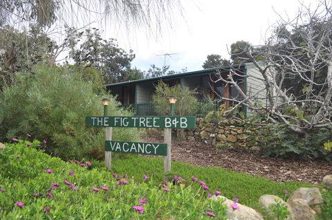 The Fig Tree B&B - Southport Accommodation 0