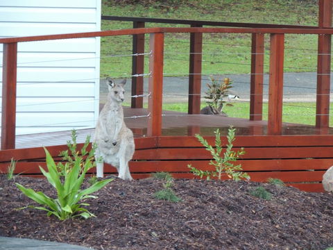 The Pouch B & B - Southport Accommodation 1