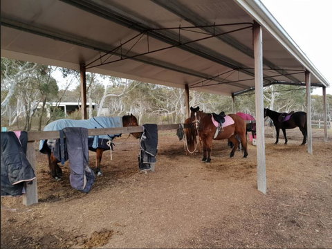 The Saddle Camp Tiny House, Braidwood - Southport Accommodation 1