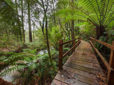 The Source, Otways - Southport Accommodation 0