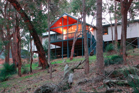 Treehouse - 3 Acre Elevated Nature Setting - Southport Accommodation 3