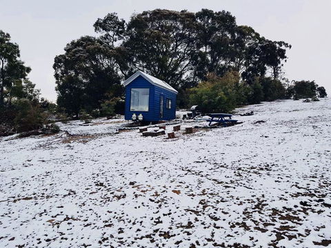 Walden Tiny House - Southport Accommodation 2