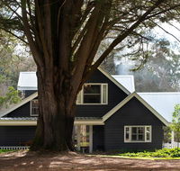 The Orchard - Southport Accommodation