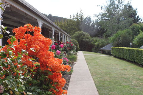 Alpine Aspects - Southport Accommodation 34