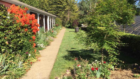 Alpine Aspects - Southport Accommodation 4