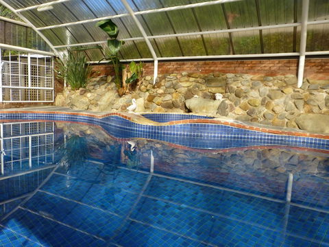 Alpine Aspects - Southport Accommodation 39