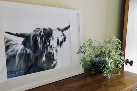 Red Ceder Cottage - Great Ocean Road - Port Campbell - Accommodation Southport 5