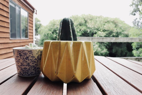 Red Ceder Cottage - Great Ocean Road - Port Campbell - Accommodation Southport 21