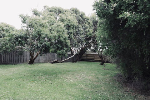 Red Ceder Cottage - Great Ocean Road - Port Campbell - Accommodation Southport 24