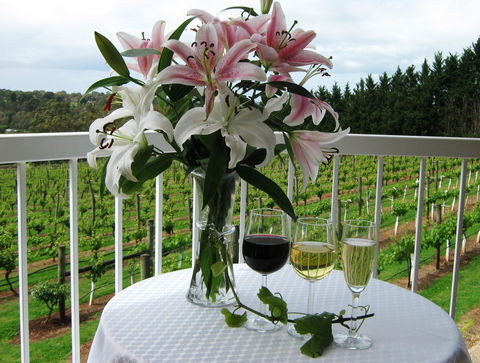 Waybourne- Vineyard And Winery - Southport Accommodation 10