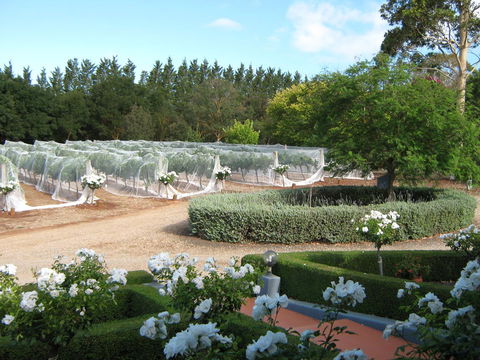 Waybourne- Vineyard And Winery - Southport Accommodation 5