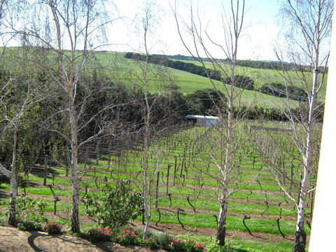Waybourne- Vineyard And Winery - Southport Accommodation 2