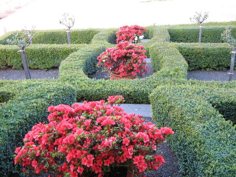 Waybourne- Vineyard And Winery - Southport Accommodation 4