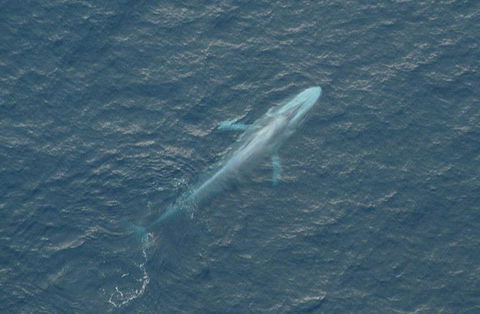 Cape Nelson Lighthouse - Southport Accommodation 39