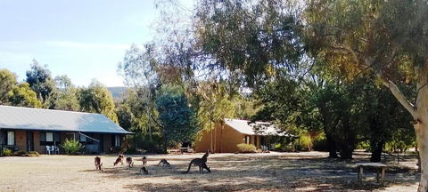 Grampians Pomonal Cottages - Southport Accommodation 6