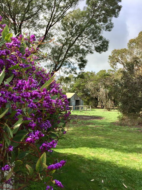 Grampians Pomonal Cottages - Southport Accommodation 21