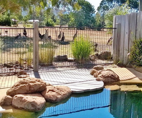 Grampians Pomonal Cottages - Southport Accommodation 24