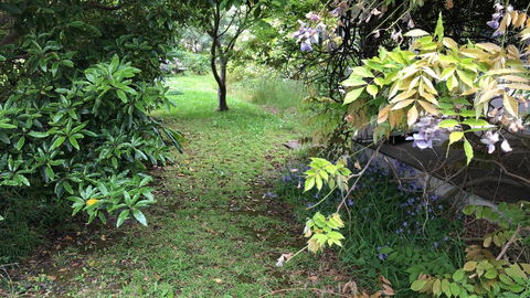 Lorelei Bed & Breakfast - Southport Accommodation 10