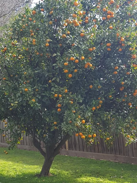 Juliet House - Accommodation Southport 21