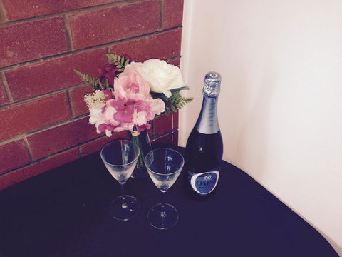 XYL Pets Friendly Seaside Boutique Guesthouse - Southport Accommodation 26