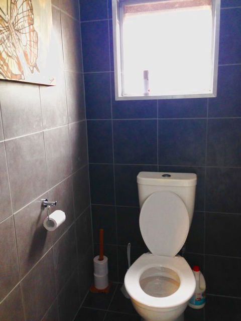 XYL Pets Friendly Seaside Boutique Guesthouse - Southport Accommodation 5