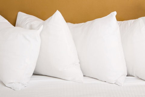 Emerald Central Hotel Official - Southport Accommodation 25