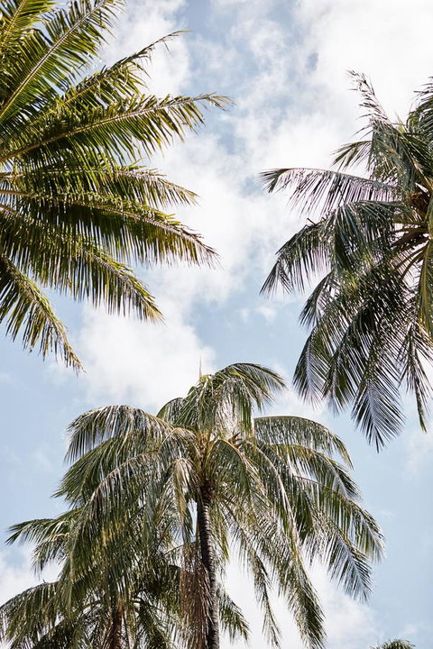 Novotel Cairns Oasis Resort - Accommodation Southport 9