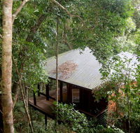 Cairns Reef  Rainforest BB - Southport Accommodation