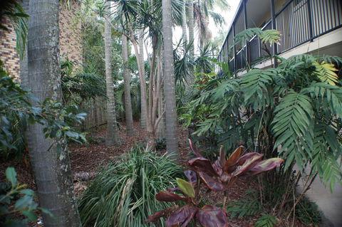 Best Western Airport 85 Motel - Southport Accommodation 34