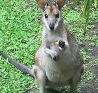 Bluewater Bed  Breakfast Cairns - Accommodation Southport