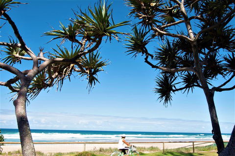 Grande Florida Beachside Resort - Southport Accommodation 34