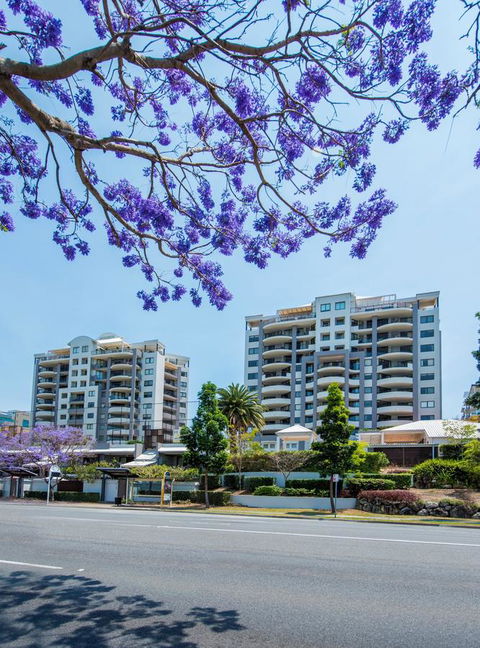 The Oasis Apartments - Southport Accommodation 2