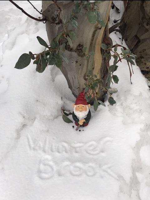 Winterbrook Chalet - Southport Accommodation 3