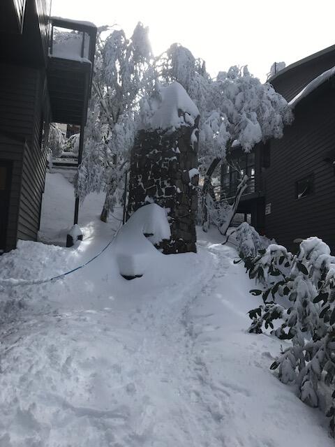 Winterbrook Chalet - Southport Accommodation 2