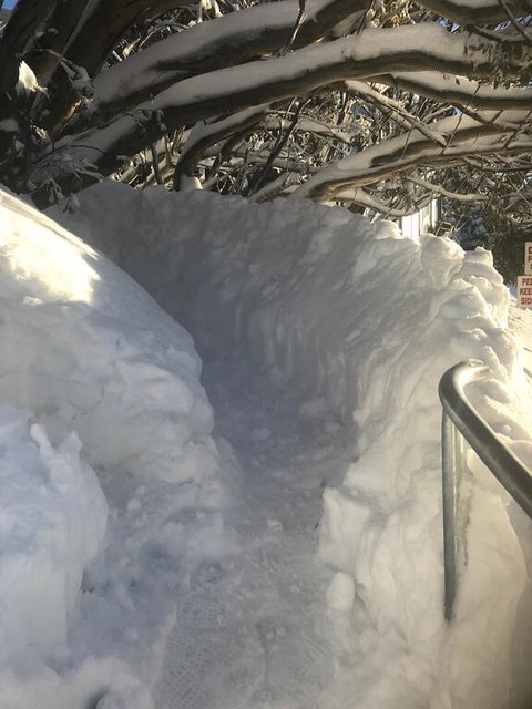 Winterbrook Chalet - Southport Accommodation 1