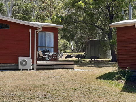 Wonderland Cottages - Southport Accommodation 3