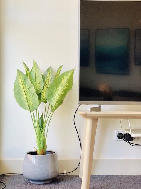 ZEN Homes On Collins - Accommodation Southport 3