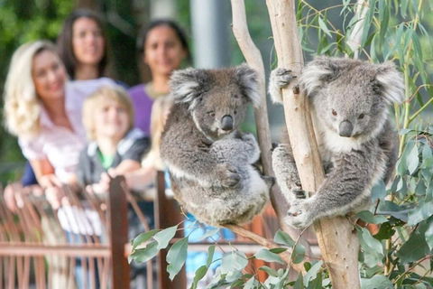 A 3BR Apt Next To Melbourne Zoo FREE Parking - Southport Accommodation 2