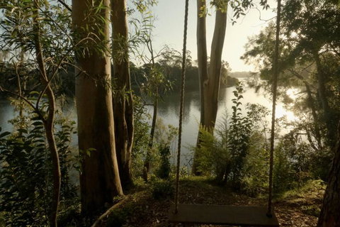 A Tamed Wilderness - Accommodation Southport 3