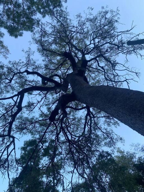 Alma Alma - Accommodation Southport 3