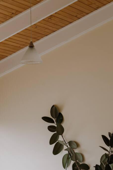 Amarela Haus - Calming Retreat Within Oceans Reach - Accommodation Southport 1