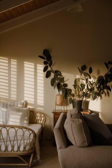 Amarela Haus - Calming Retreat Within Oceans Reach - Accommodation Southport 2